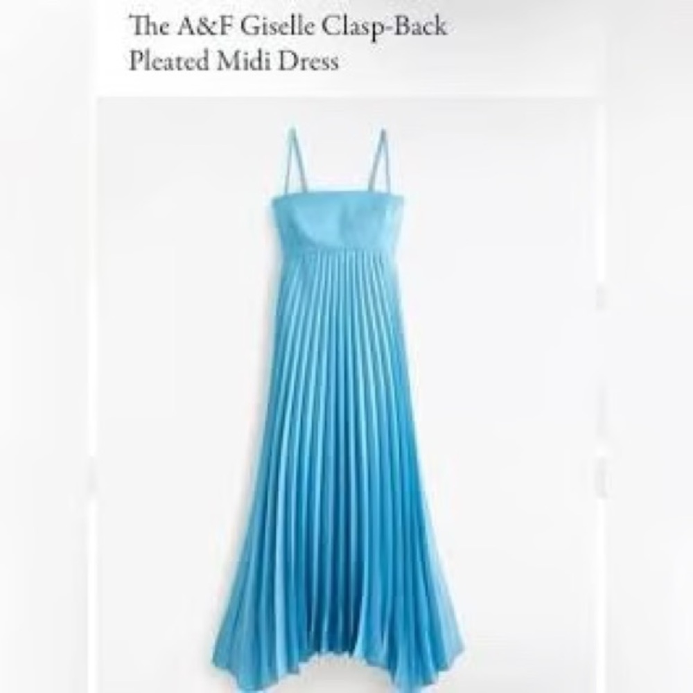 Abercrombie & Fitch Giselle Clasp-Back Pleated Mini Dress